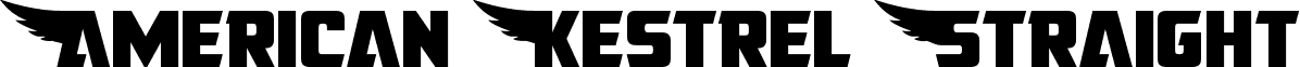 American Kestrel Straight font - american-kestrel-straight-b177.ttf