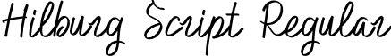 Hilburg Script Regular font - Hilburg Script.otf