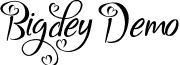 Bigdey Demo font - Bigdey Demo.ttf