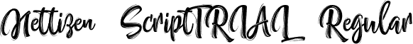 Nettizen ScriptTRIAL Regular font - Nettizen_TRIAL.otf