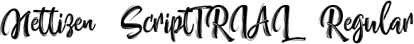 Nettizen ScriptTRIAL Regular font - Nettizen_TRIAL.ttf