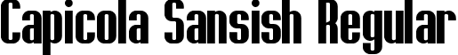 Capicola Sansish Regular font - CapicolaSansish.ttf