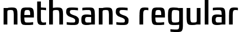 nethsans Regular font - nethsans.ttf