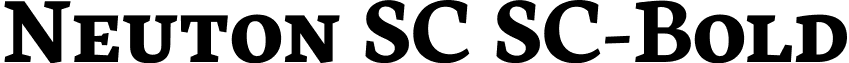 Neuton SC SC-Bold font - neuton.sc-bold.ttf