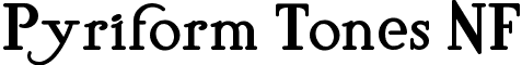 Pyriform Tones NF font - pyriform-tones-nf.regular.ttf