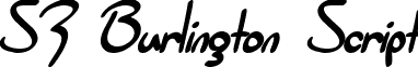 SF Burlington Script font - sf-burlington-script.bold.ttf