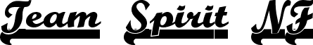 Team Spirit NF font - teamspirit.regular.ttf