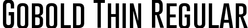 Gobold Thin Regular font - Gobold Thin.otf