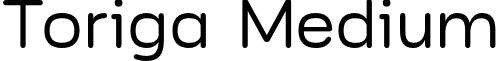 Toriga Medium font - JAM Type Design - Toriga Medium.otf