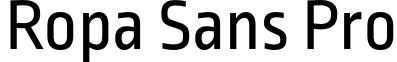 Ropa Sans Pro font - lettersoup - RopaSansPro-Regular.otf