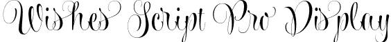 Wishes Script Pro Display font - WishesScriptProDisplay-Bold.otf