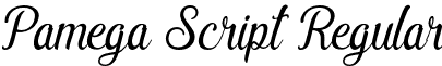 Pamega Script Regular font - pamega-script.regular.otf