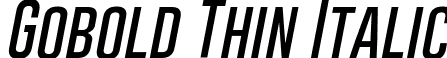 Gobold Thin Italic font - Gobold Thin Italic.ttf