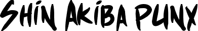 Shin Akiba punx font - shinAkibapunx_bold.ttf