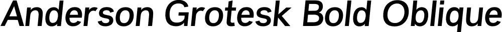 Anderson Grotesk Bold Oblique font - AndersonGrotesk-BoldOblique.otf