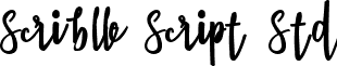 Scriblle Script Std font - Scriblle Script.ttf