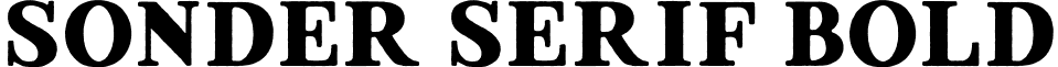 Sonder Serif Bold font - SonderSerif-Bold.otf