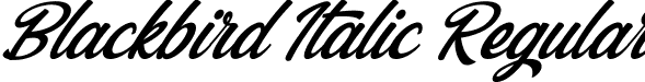 Blackbird Italic Regular font - Blackbird Italic.otf