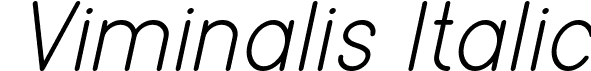 Viminalis Italic font - Viminalis-Italic.otf