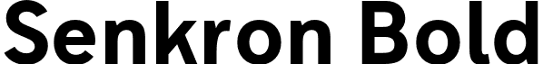 Senkron Bold font - gurup-studyo-senkron-bold.otf