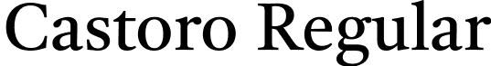 Castoro Regular font - castoro-roman-b001h.ttf