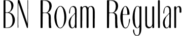 BN Roam Regular font - bnroam.otf