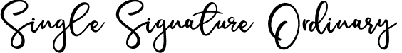 Single Signature Ordinary font - singlesignatureordinary-9yxdj.otf