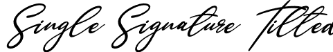 Single Signature Tilted font - singlesignaturetilted-yzmdq.otf