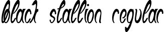 Black Stallion Regular font - black stallion.ttf