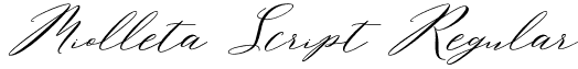 Miolleta Script Regular font - Miolleta Demo.otf