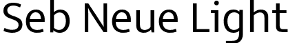 Seb Neue Light font - SebneueLight-o8Gd.otf