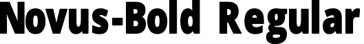 Novus-Bold Regular font - novus.bold.otf