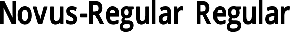 Novus-Regular Regular font - novus.regular.otf