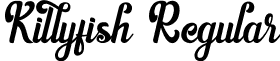 Killyfish Regular font - Killyfish.ttf