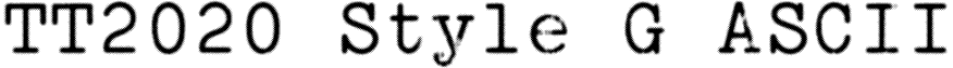 TT2020 Style G ASCII font - Tt2020StyleGAscii-ZVpKz.ttf