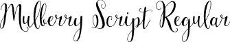 Mulberry Script Regular font - MulberryScript-Regular.otf