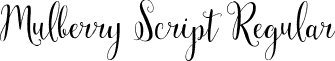 Mulberry Script Regular font - MulberryScript-Regular.ttf