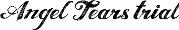 Angel Tears trial font - Angel___.otf