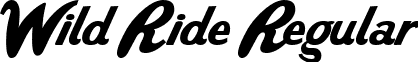 Wild Ride Regular font - WildRide.ttf