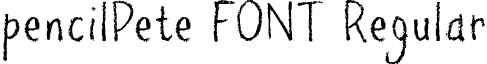 pencilPete FONT Regular font - PPETRIAL.ttf