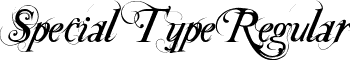 Special Type Regular font - Special Type.ttf