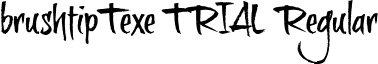 brushtipTexe TRIAL Regular font - BTTTRIAL.otf
