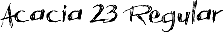 Acacia 23 Regular font - Acacia_23.ttf