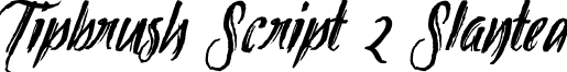 Tipbrush Script 2 Slanted font - Tipbrush2_Slanted.ttf