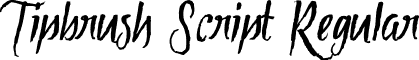 Tipbrush Script Regular font - Tipbrush1.ttf