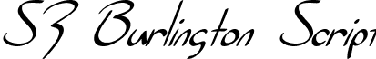 SF Burlington Script font - SF Burlington Script Italic.ttf