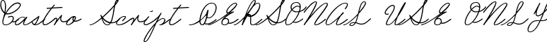 Castro Script PERSONAL USE ONLY font - CastroScript_PERSONAL_USE_ONLY.ttf