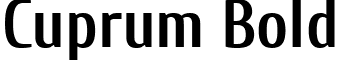 Cuprum Bold font - Cuprum-Bold.ttf