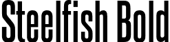 Steelfish Bold font - steelfish bd.otf