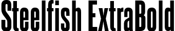 Steelfish ExtraBold font - steelfish eb.otf